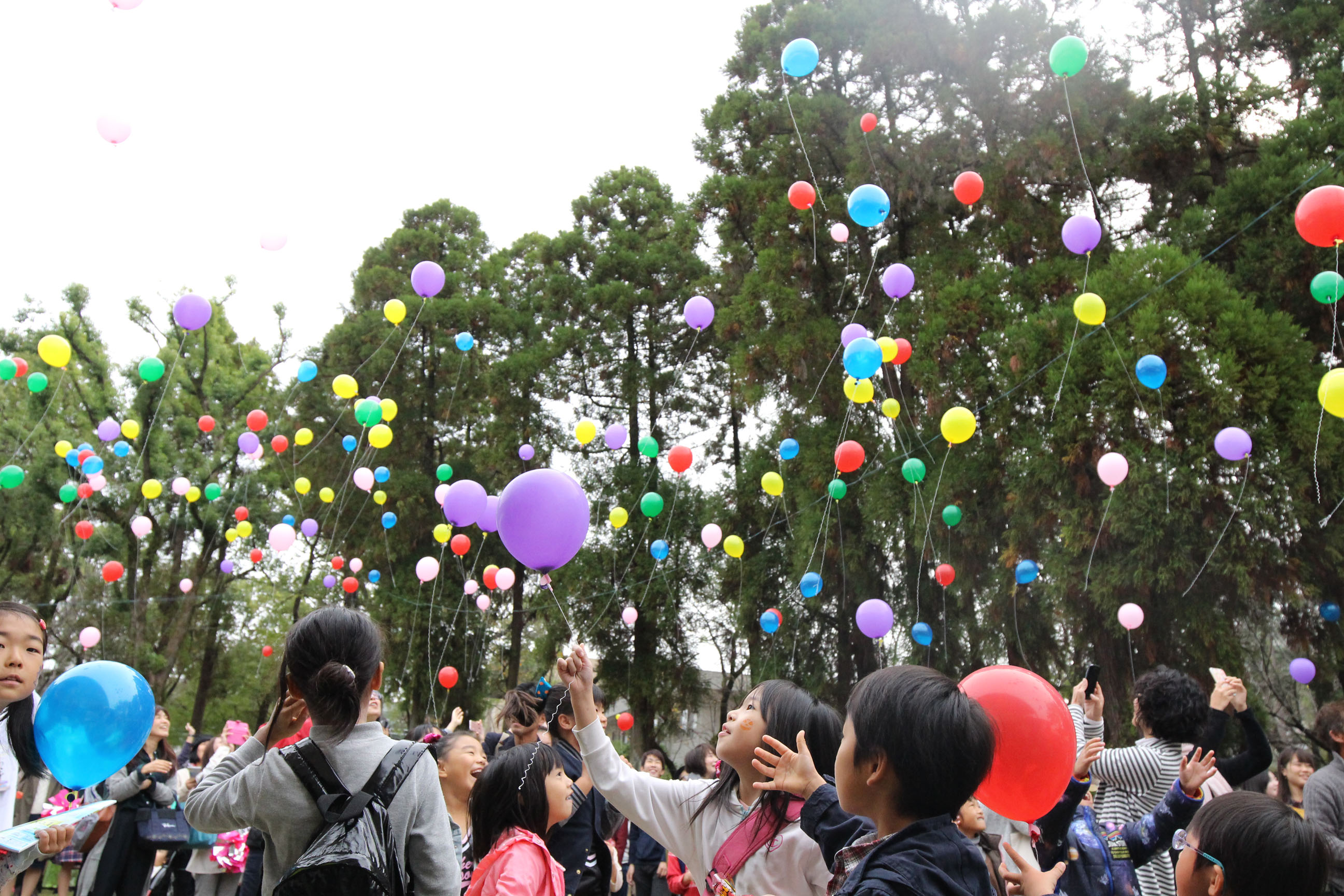 熊本大学 黒髪キャンパス 第五回紫熊祭 学園祭に行こう